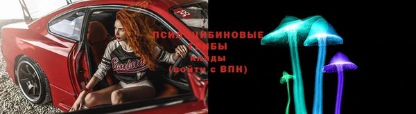 твердый Краснослободск