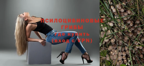 ПСИЛОЦИБИНОВЫЕ ГРИБЫ Куйбышев