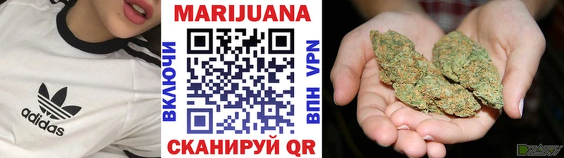 Купить закладки  Муром  Бошки Шишки сатива 